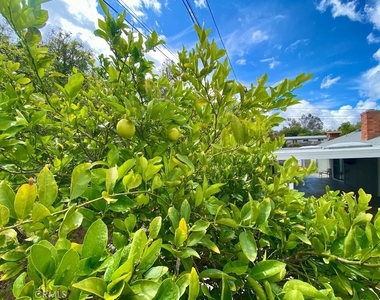 757 N. Stagecoach Lane - Photo Thumbnail 25