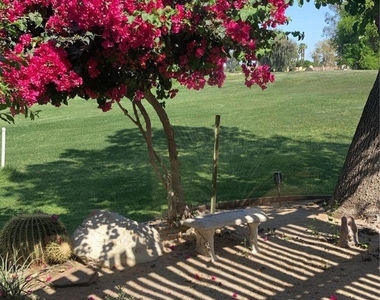 35090 Mission Hills Drive - Photo Thumbnail 28