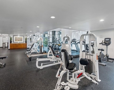 13650 Marina Pointe Drive - Photo Thumbnail 35