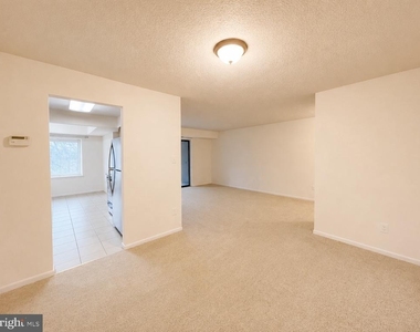 10204 Bushman Drive - Photo Thumbnail 6