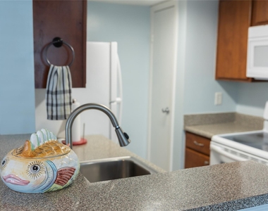3506 Cove View Boulevard - Photo Thumbnail 3