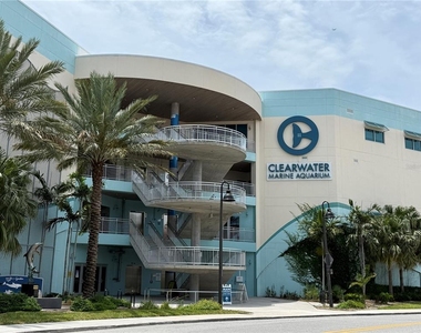255 Dolphin Point - Photo Thumbnail 35