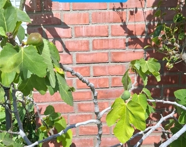 511 N Mcpherrin - Photo Thumbnail 21