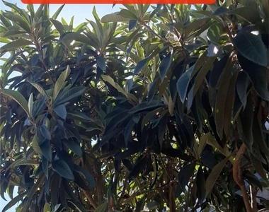 511 N Mcpherrin - Photo Thumbnail 24