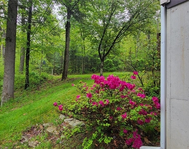 45 Laurel Hollow Estate - Photo Thumbnail 4