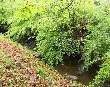 50 Route 343 - Photo Thumbnail 25