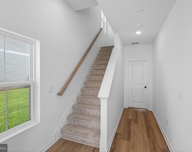 73 Basswood - Photo Thumbnail 4