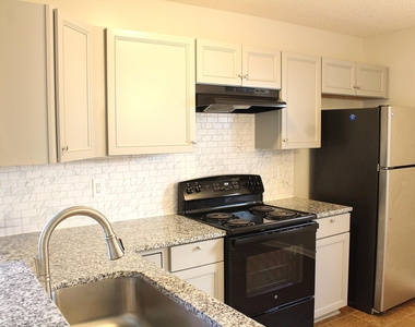 4305 Standing Rock Way - Photo Thumbnail 3