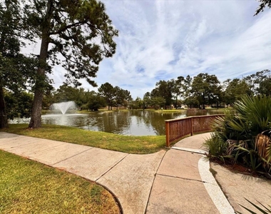 14322 Baron Creek Lane - Photo Thumbnail 43