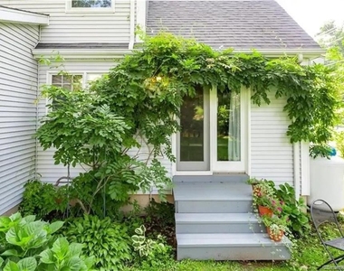 9 Beech Street - Photo Thumbnail 34