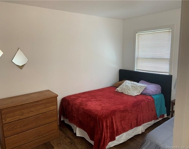 9 Beech Street - Photo Thumbnail 14
