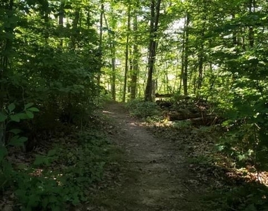 9 Beech Street - Photo Thumbnail 35