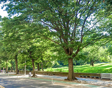 473 Central Park West - Photo Thumbnail 4