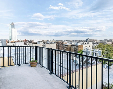 815 Flatbush Avenue - Photo Thumbnail 8