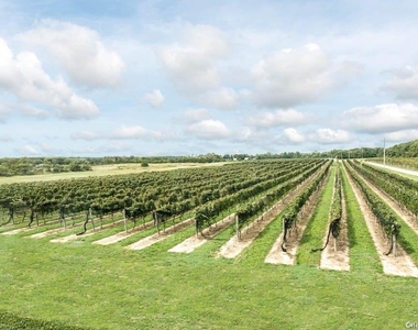 4782 Alvah's Lane - Photo Thumbnail 27