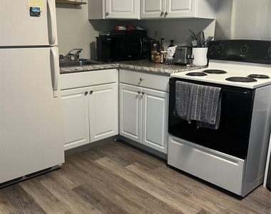 50 Kalmia Street - Photo Thumbnail 5