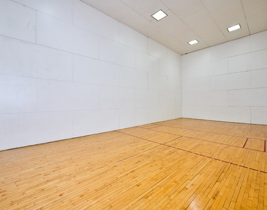 211 E Ohio Street - Photo Thumbnail 19