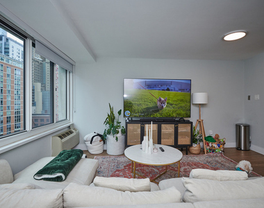 211 E Ohio Street - Photo Thumbnail 4