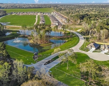 40810 Hawthorne Glades Street - Photo Thumbnail 35