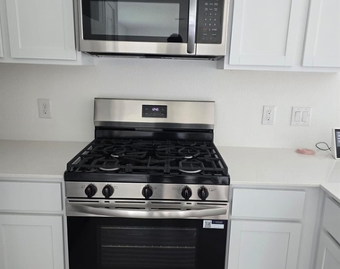 26706 Dalmatian Bellflower Drive - Photo Thumbnail 19
