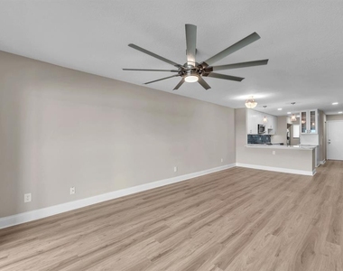 821 Bahia Del Sol Drive - Photo Thumbnail 9
