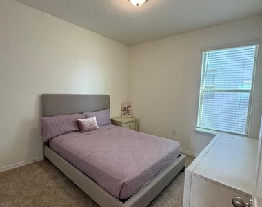 16236 Carraway Bay Alley - Photo Thumbnail 9