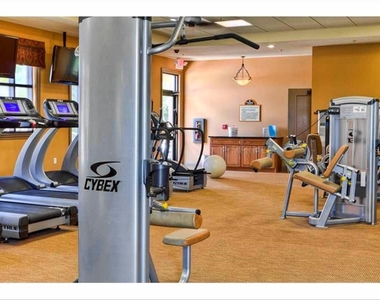 416 Winding Brook Lane - Photo Thumbnail 51