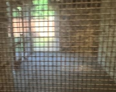 1736 Marian Lane - Photo Thumbnail 11