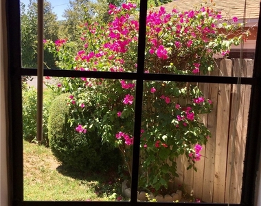 22451 Dolorosa Street - Photo Thumbnail 4