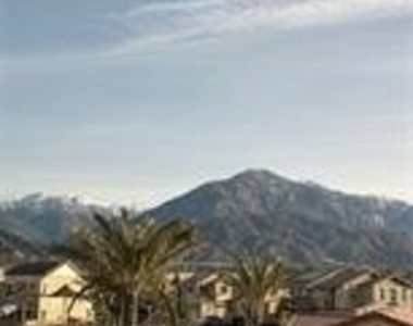 1703 Almond Tree - Photo Thumbnail 11