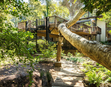 681 Brooktree Road - Photo Thumbnail 9