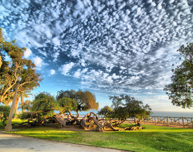 201 Ocean Avenue - Photo Thumbnail 37
