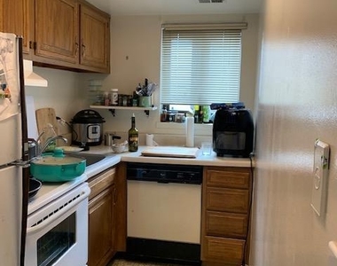 1420 Locust Street - Photo Thumbnail 3