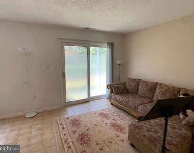 41 Ketley Place - Photo Thumbnail 6