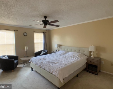 41 Ketley Place - Photo Thumbnail 7