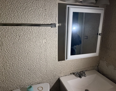 950 E 86th Street - Photo Thumbnail 6
