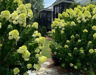 128 Peachtree Memorial Drive Nw - Photo Thumbnail 21