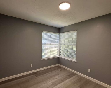 1019 Western Springs Drive - Photo Thumbnail 7