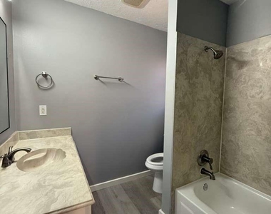 1019 Western Springs Drive - Photo Thumbnail 8