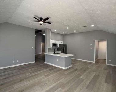 1019 Western Springs Drive - Photo Thumbnail 4