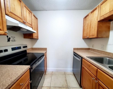 13832 Orange Sunset Drive - Photo Thumbnail 14