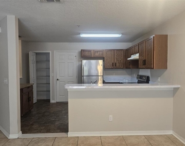 219 Glowing Peace Ln - Photo Thumbnail 4
