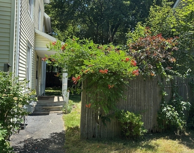 61 Clarence Street - Photo Thumbnail 9