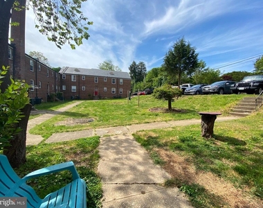 804 Monument Avenue - Photo Thumbnail 10