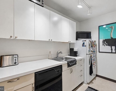 210 Locust Street - Photo Thumbnail 10