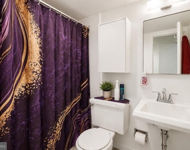 220 Locust Street - Photo Thumbnail 8