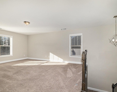 373 Neuse Landing Drive - Photo Thumbnail 15