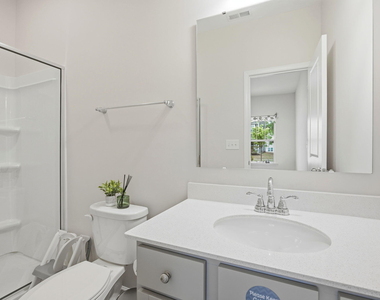 1401 Addison Lake Street - Photo Thumbnail 20