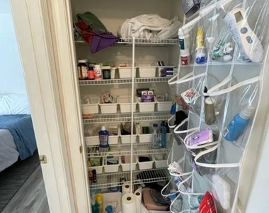 838 Chestnut Tree Drive - Photo Thumbnail 18