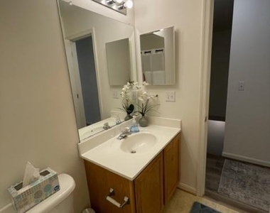 838 Chestnut Tree Drive - Photo Thumbnail 17
